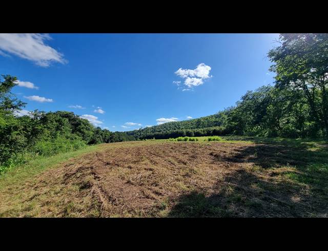 14.60HA SMALLHOLDING FOR SALE IN NELSPRUIT RURAL